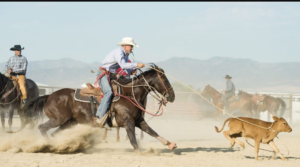 Rodeos